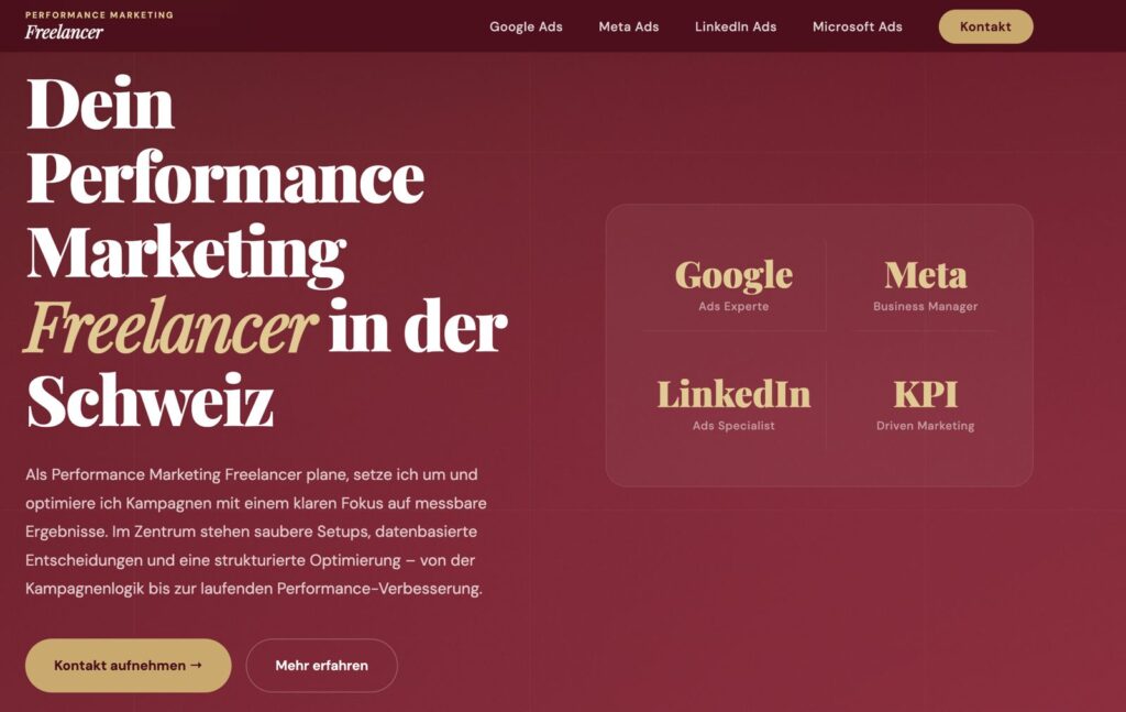 Performance-Marketing-Freelancer.ch Screenshot