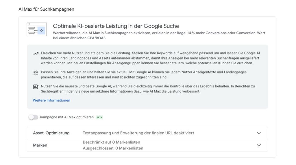 Google AI Max Einstellung